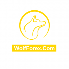 WolfForex – Học Viện Giao Dịch Forex